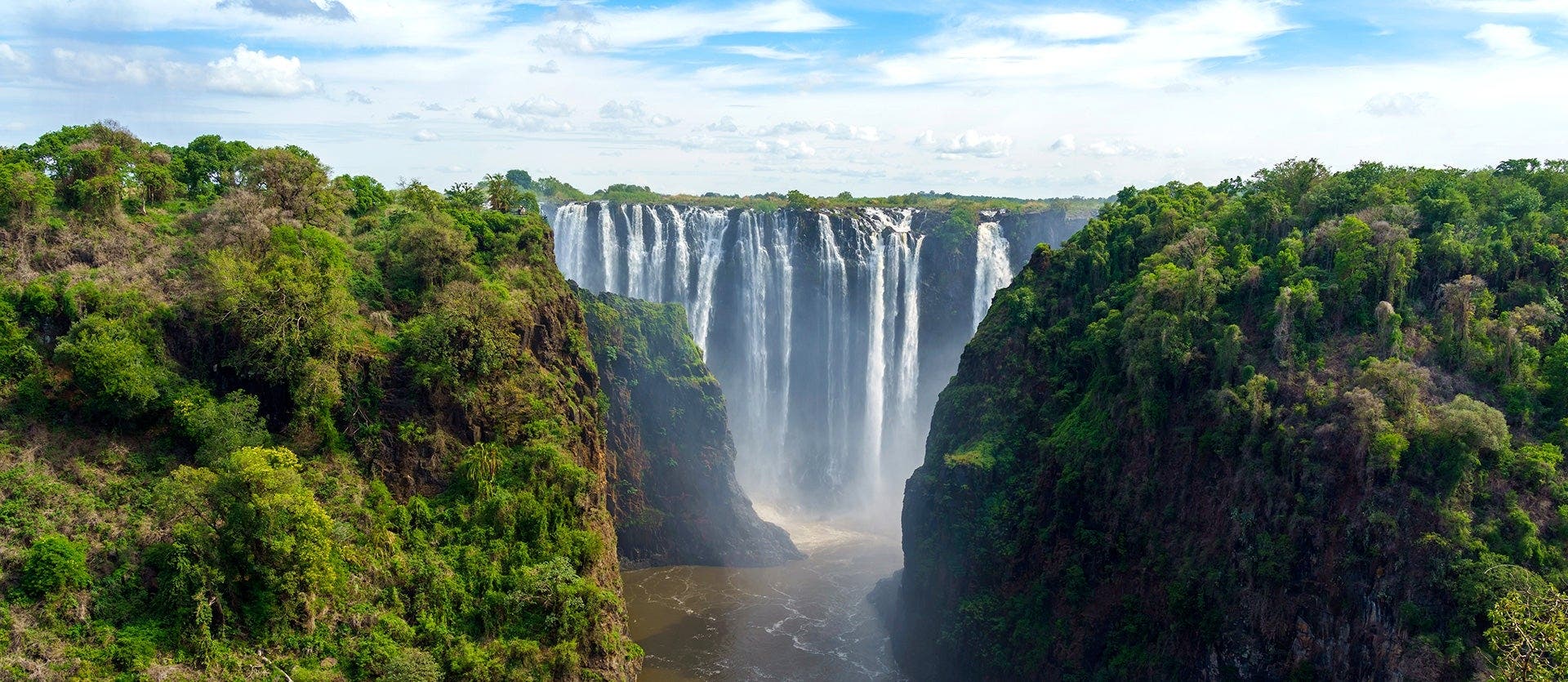 African roars: Big 5 to Victoria Falls