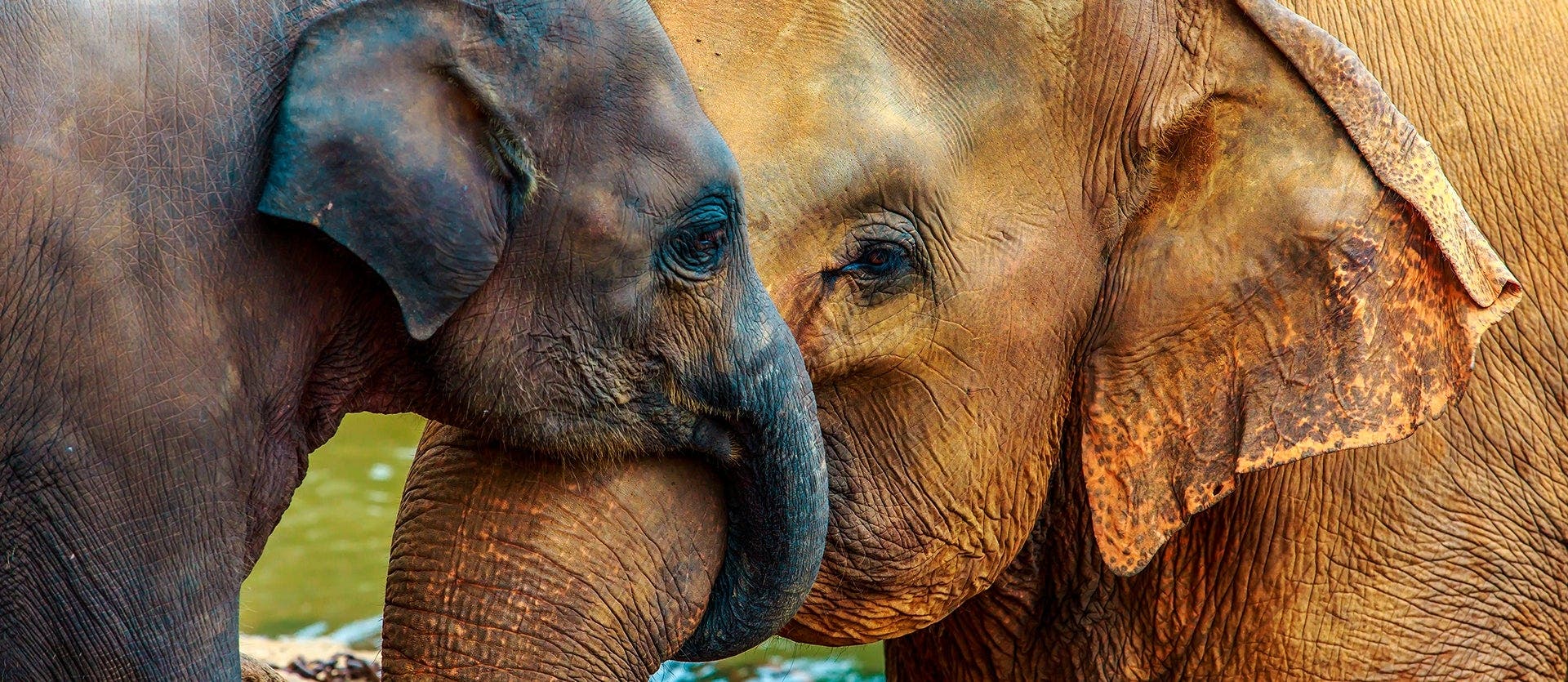 Mara, Serengeti & Ngorongoro Crater