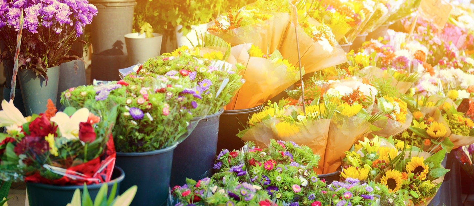 Canales, adoquines y molinos