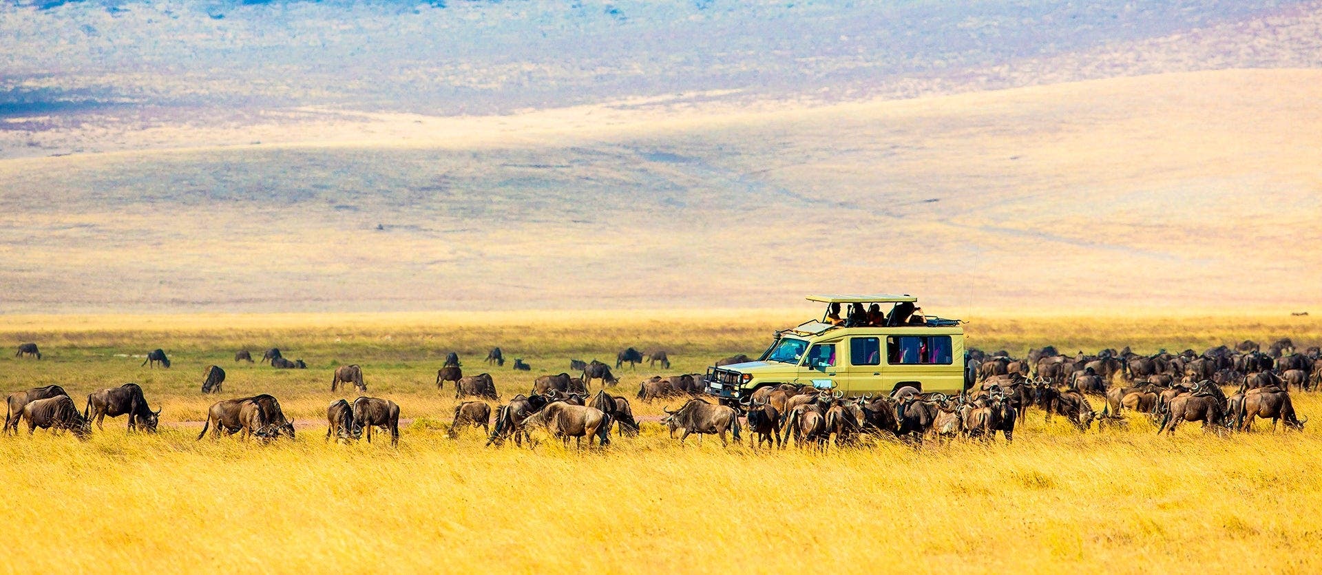 Mara, Serengeti & Ngorongoro Crater