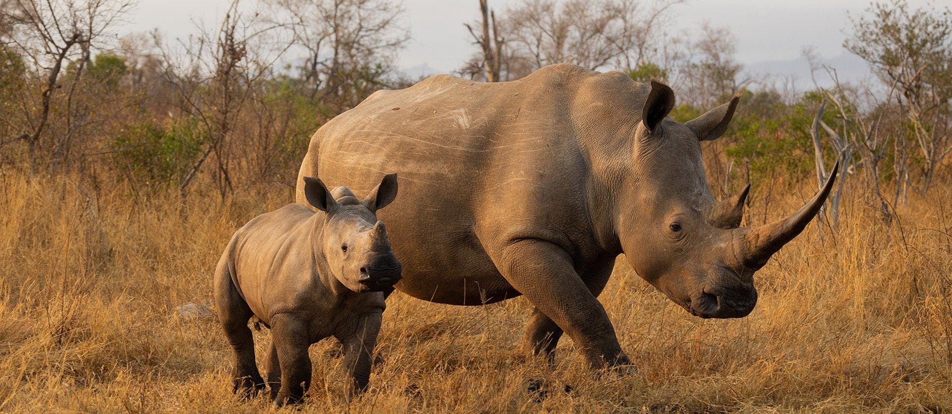 Mara, Serengeti & Ngorongoro Crater