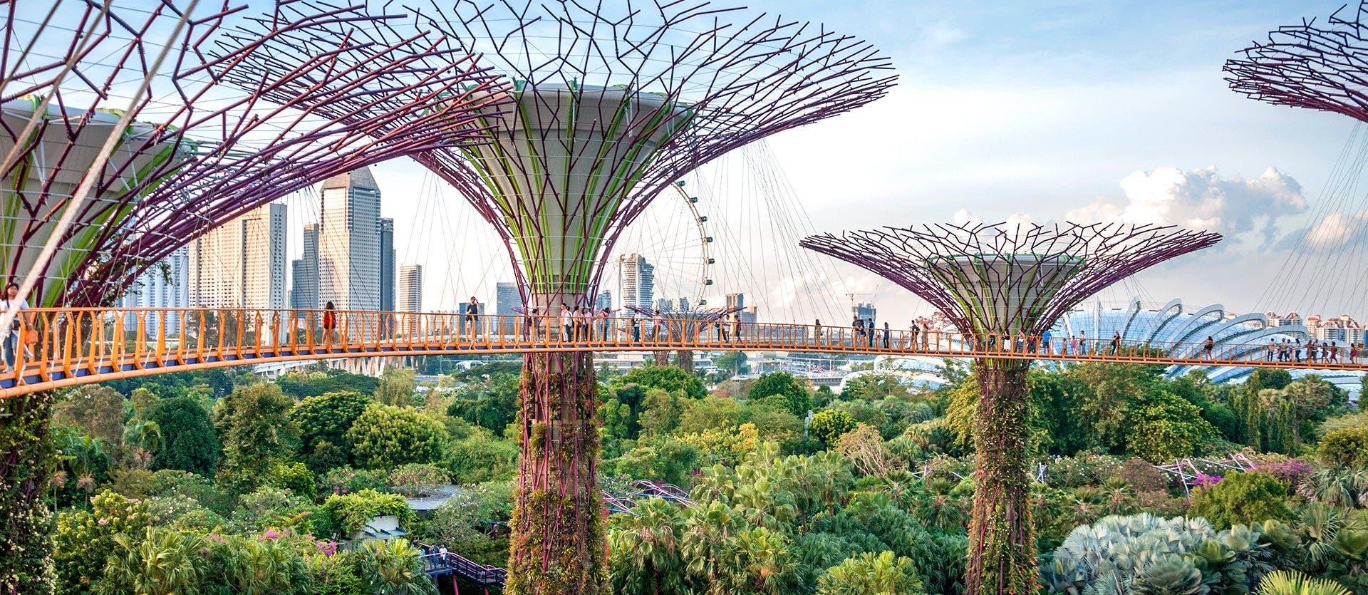 Contrasts of Kuala, Borneo and Singapore
