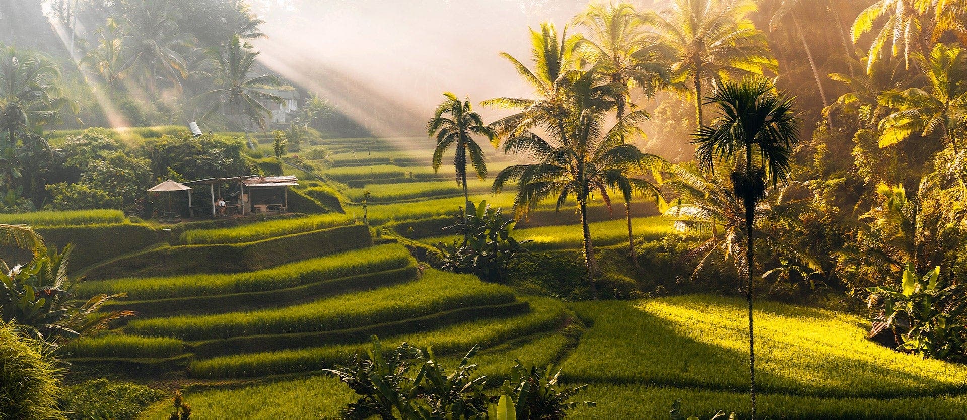 Island Hopping: Bali, Nusa Penida & Gili