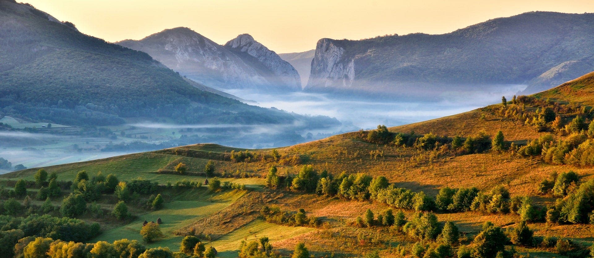 Dracula & the Treasures of Transylvania