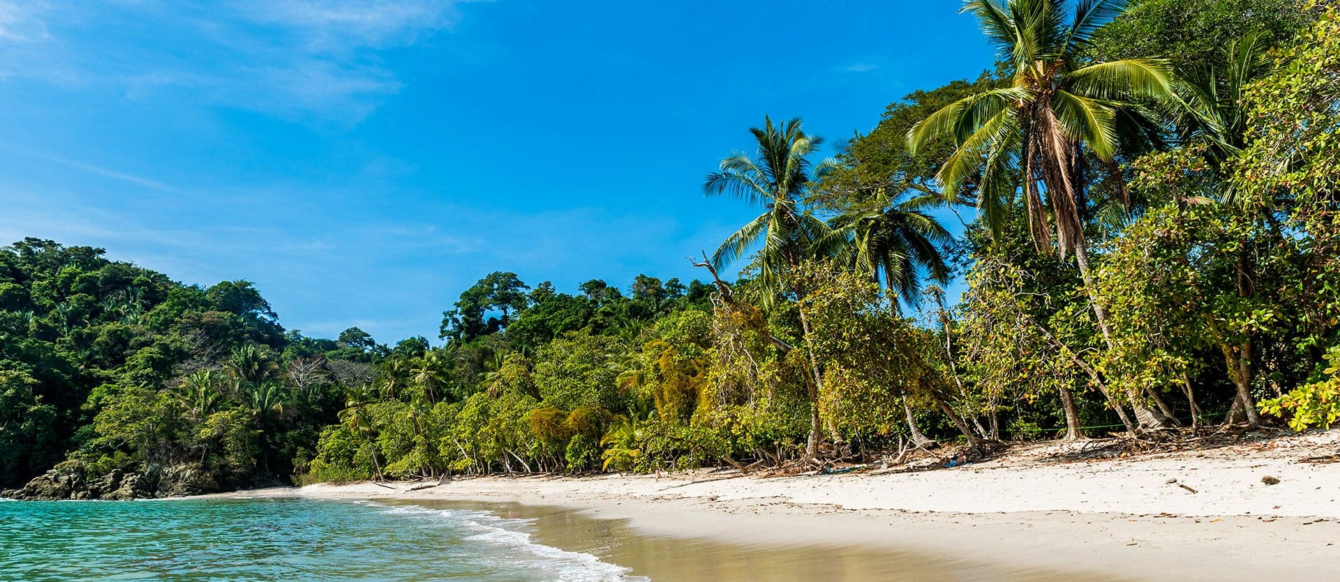 Playas tropicales <span class="iconos separador"></span> Manuel Antonio