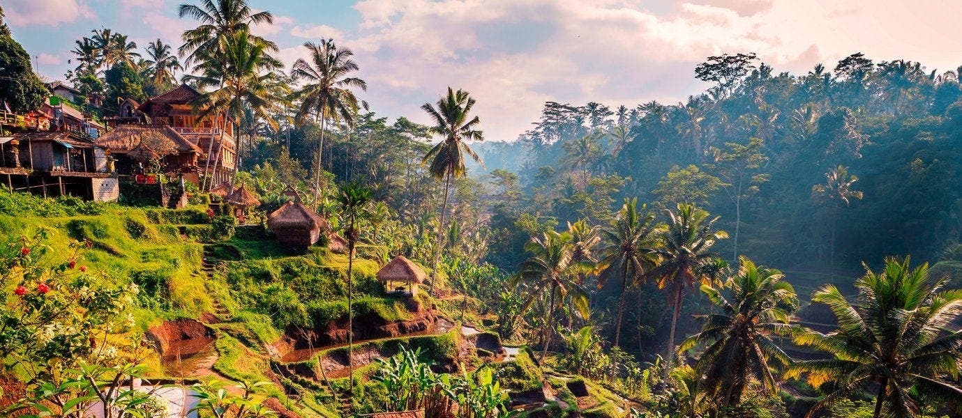 Îles exotiques et plages paradisiaques