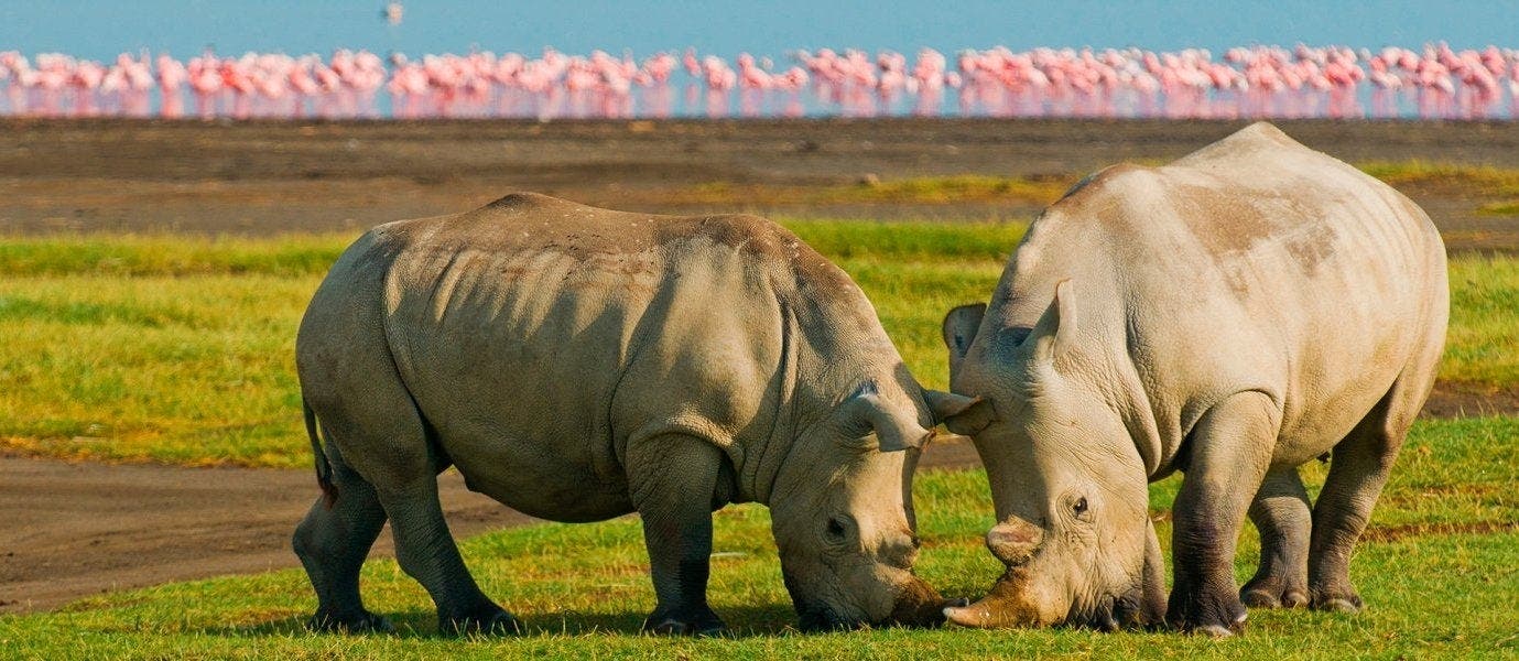 Luxury African Adventures