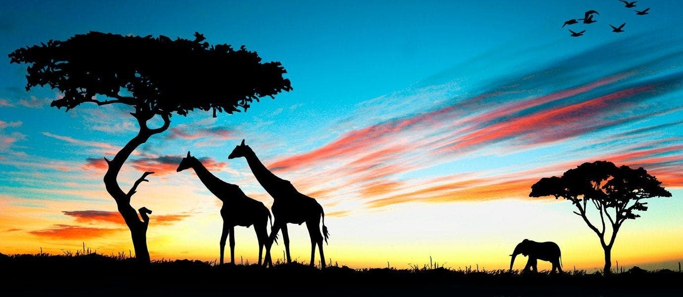 Luxury African Adventures