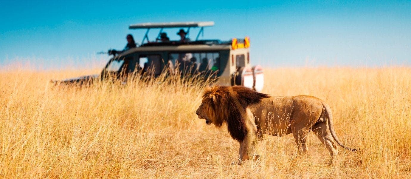Luxury African Adventures