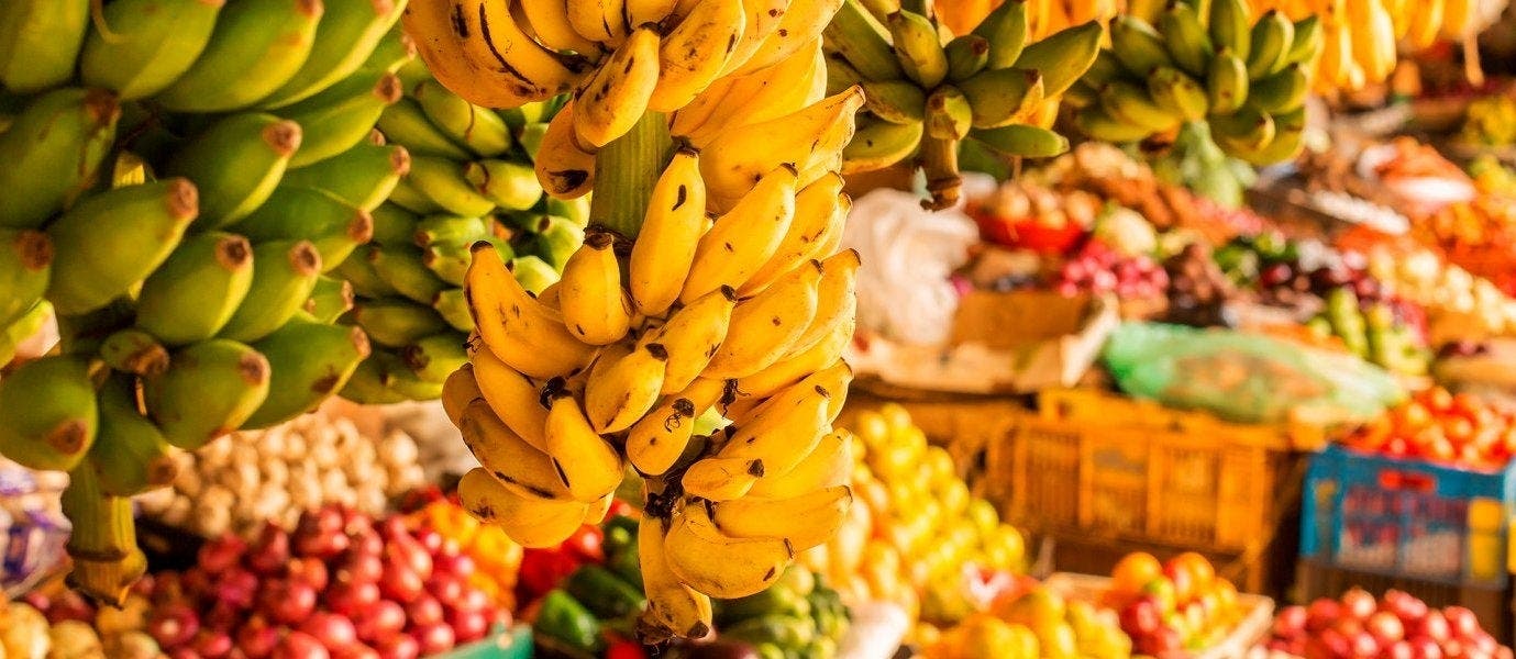 Luxury African Adventures