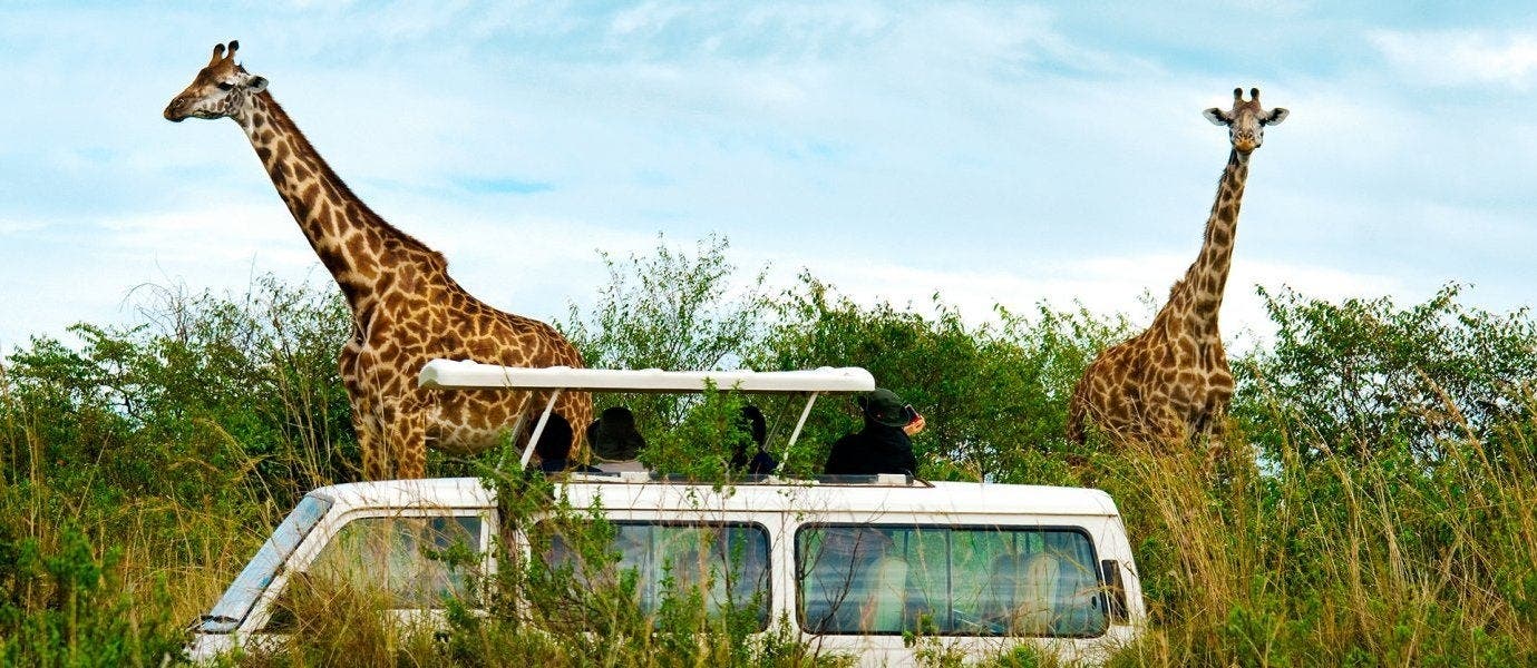 Luxury African Adventures