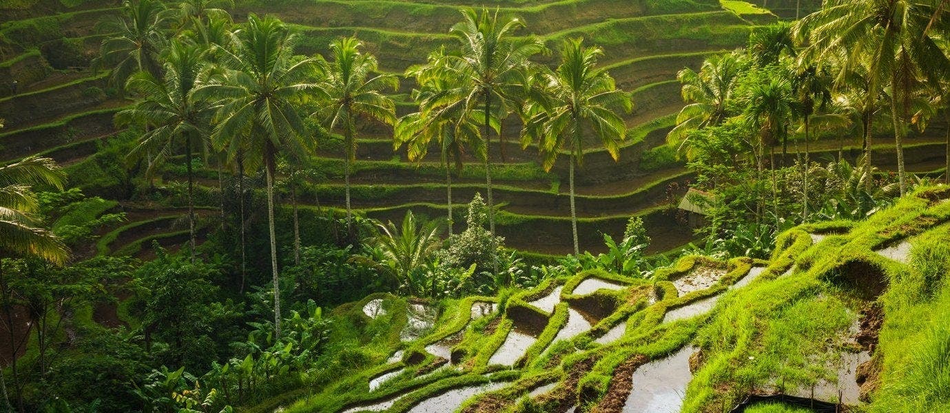 Bali, Lombok & Gili Trawangan