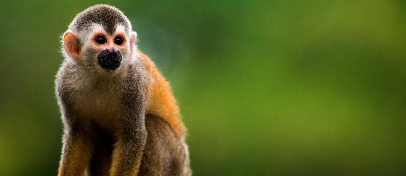 Naturerlebnis und Strandvergnügen