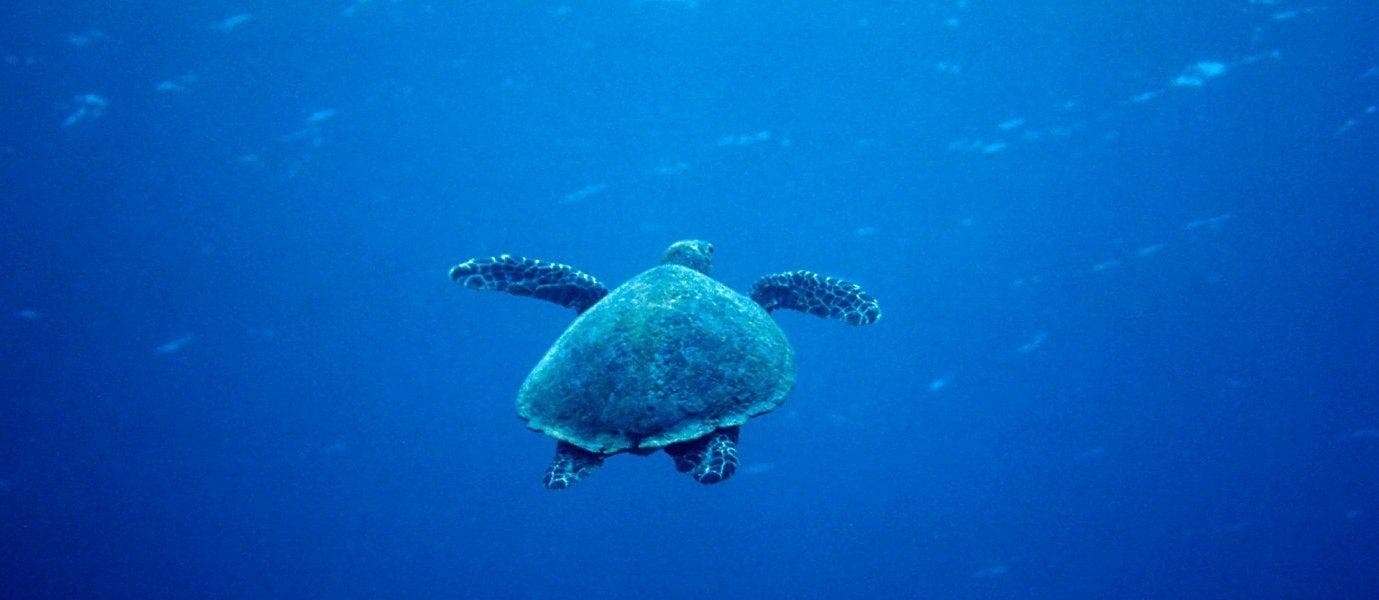Naturerlebnis und Strandvergnügen