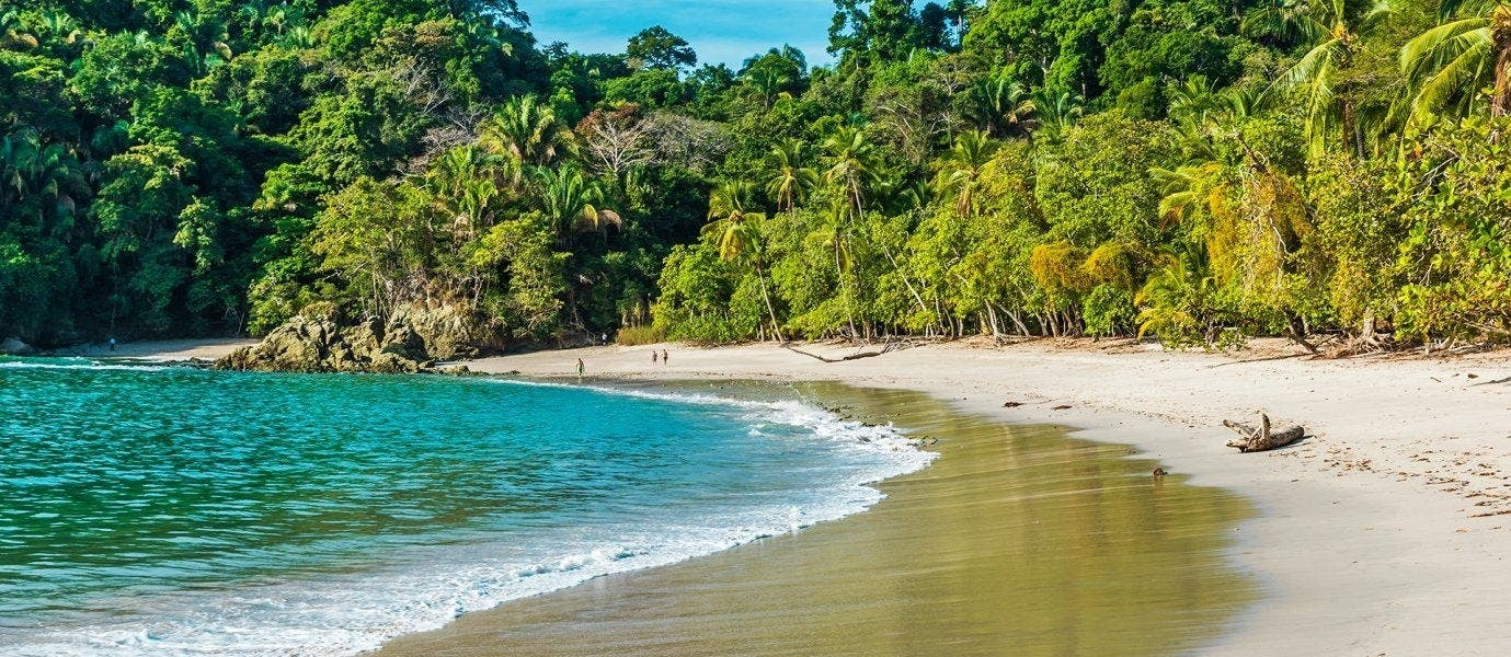 De la forêt tropicale à la plage