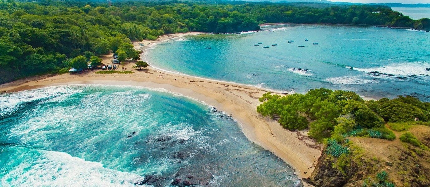De la forêt tropicale à la plage