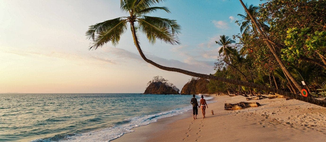 Tropical Rainforests & Beach Escape