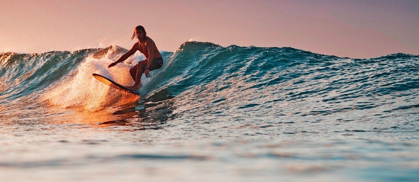 Tropical Rainforests & Beach Escape