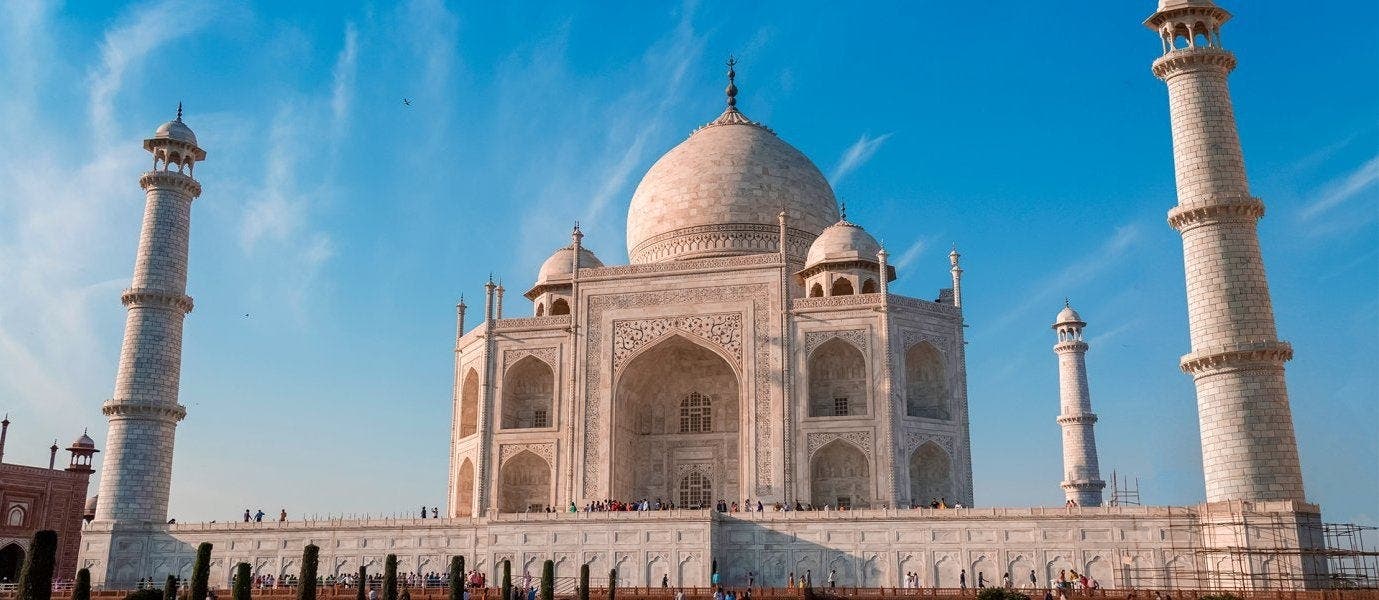 Amazing Tiger Safari & Classic Taj Mahal