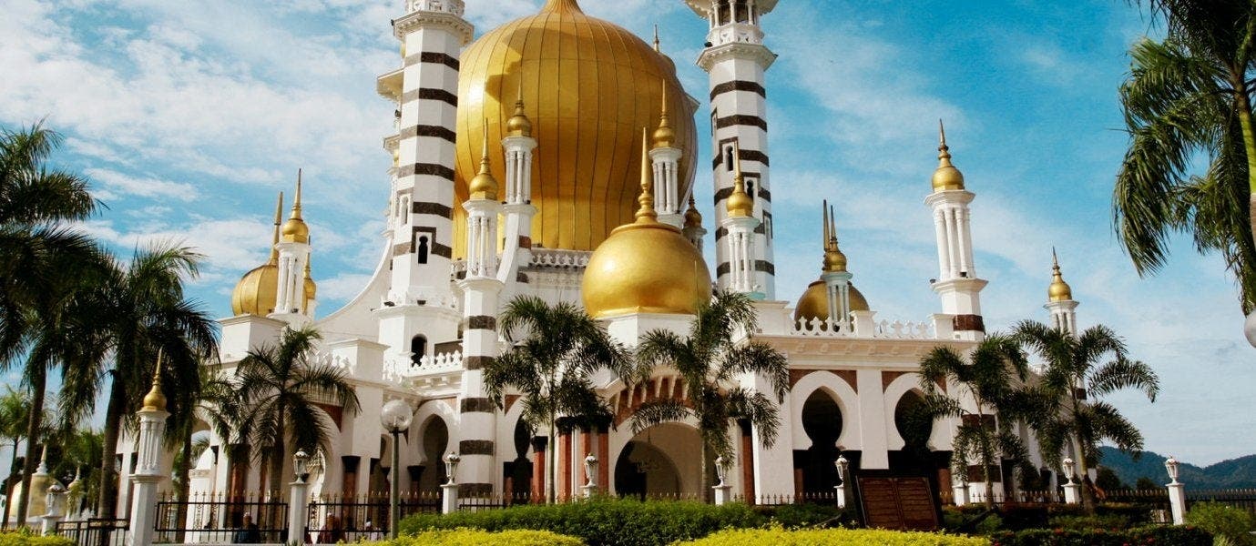 Between Rainforests & Orangutans