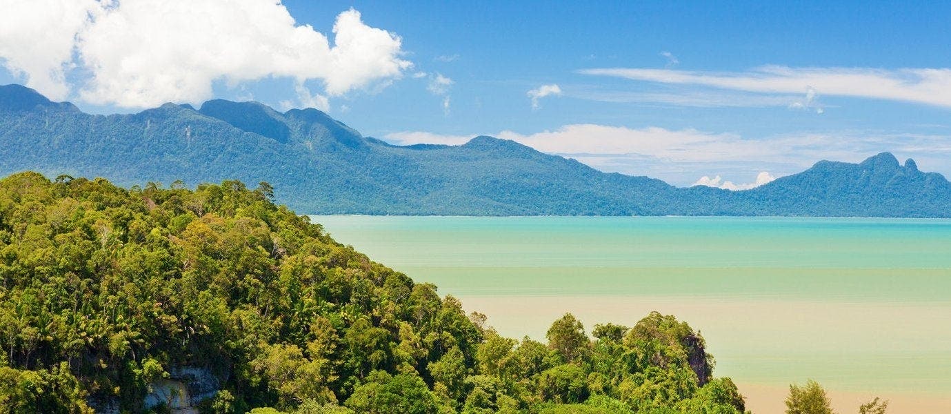 Between Rainforests & Orangutans