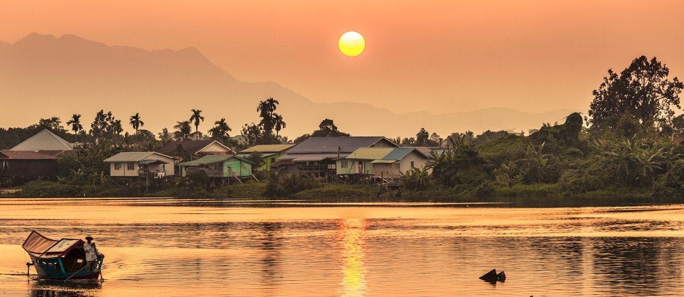 Between Rainforests & Orangutans