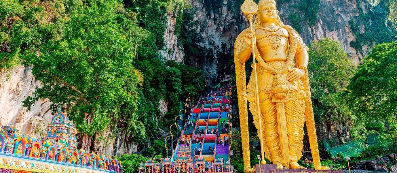 Between Rainforests & Orangutans