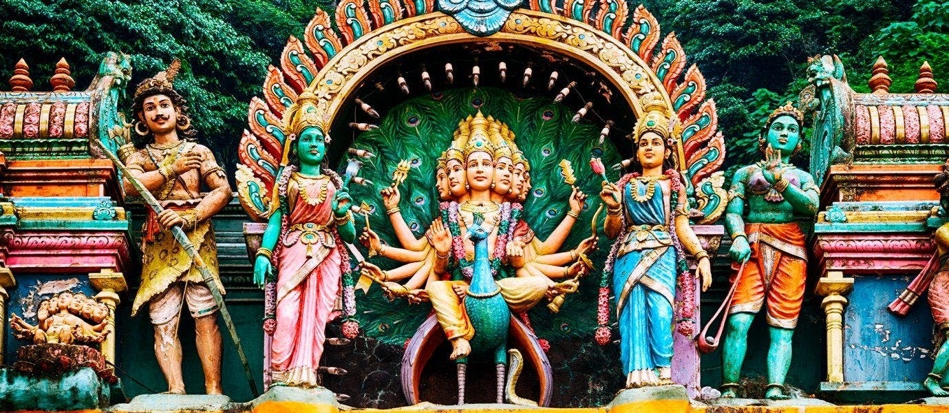 Between Rainforests & Orangutans