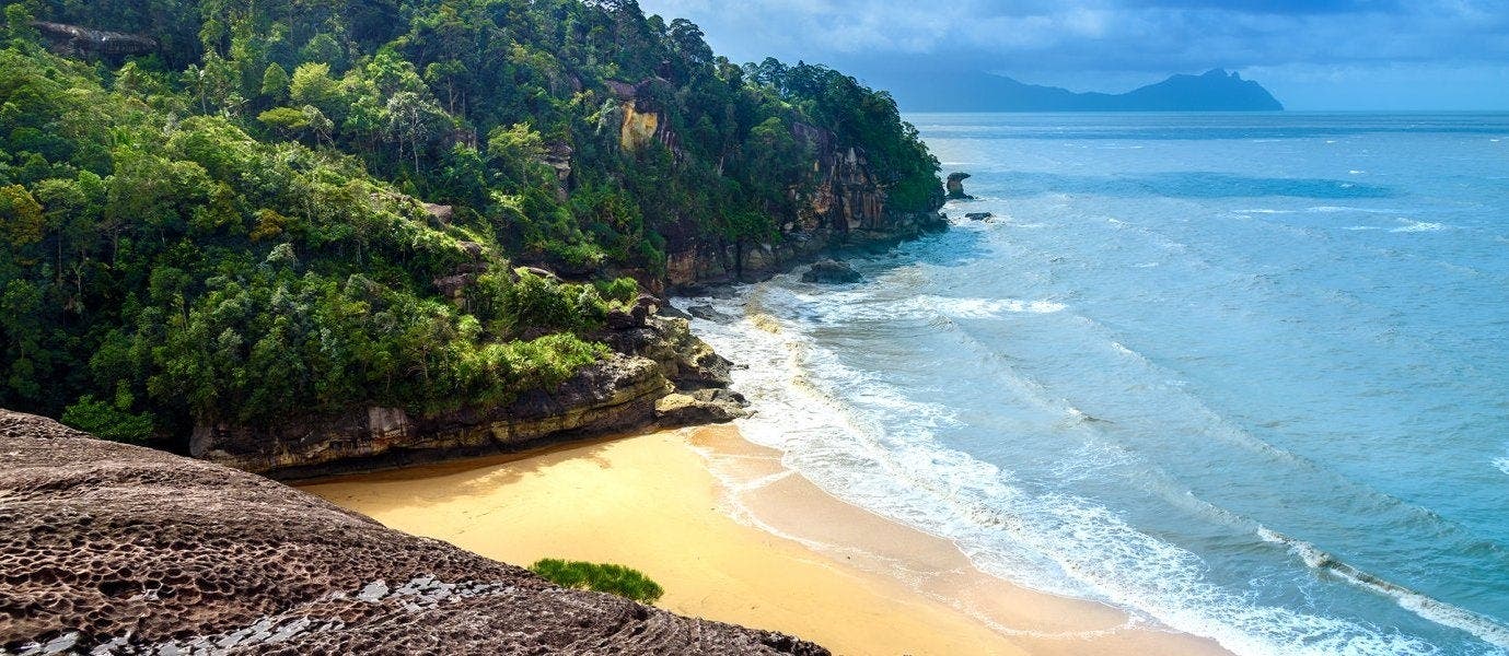 Between Rainforests & Orangutans