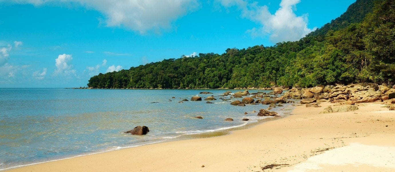 Between Rainforests & Orangutans