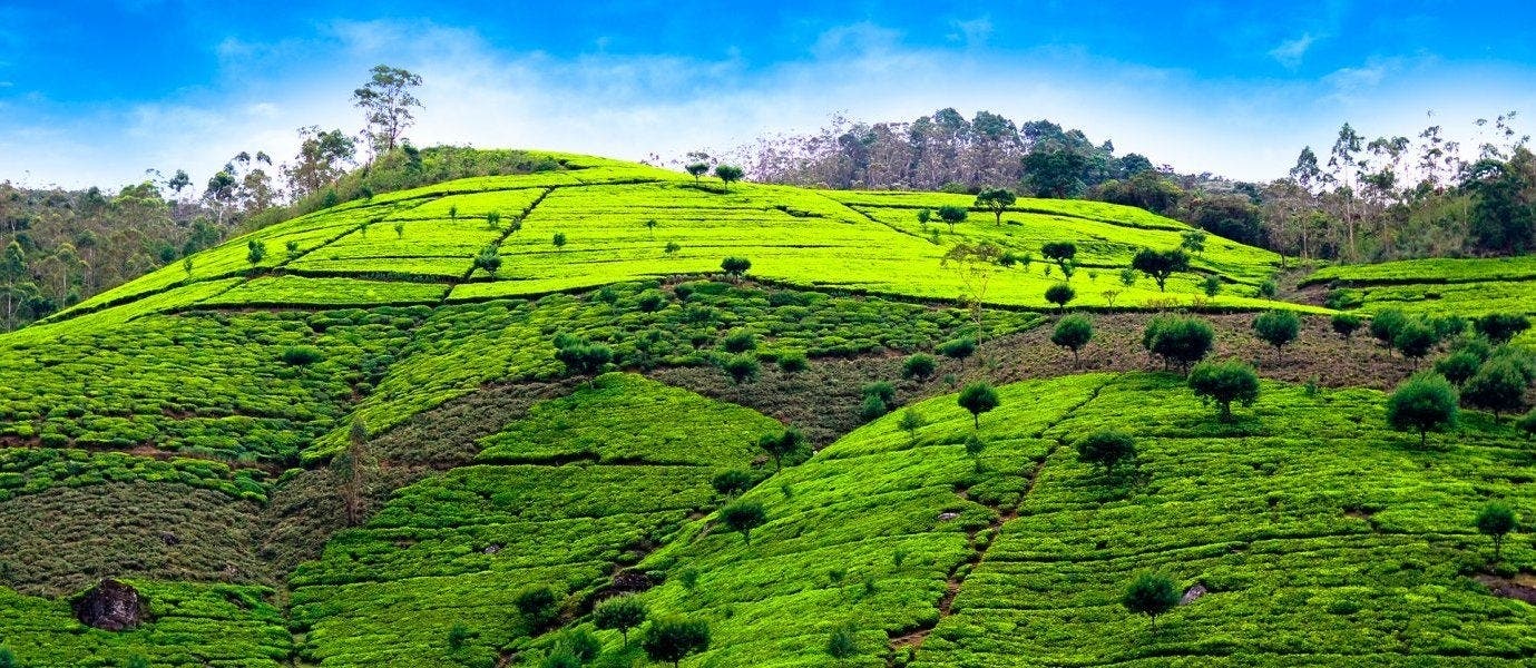 Die Perle des Indischen Ozeans