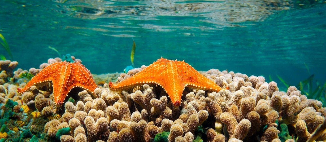 Panama City & All-Inclusive Playa Blanca