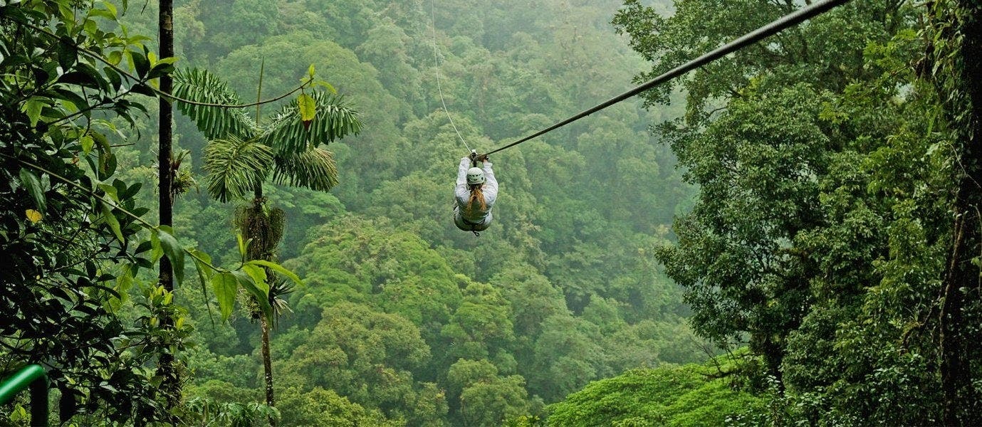 Magical Night of the Sea Turtles