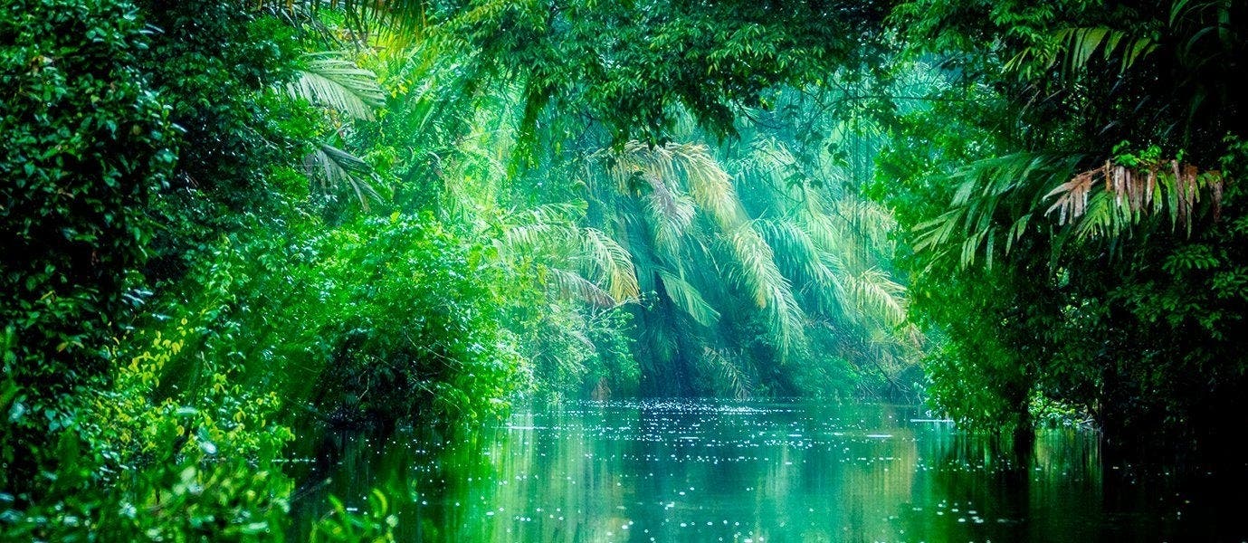 Regenwaldabenteuer & Schildkrötenparadies