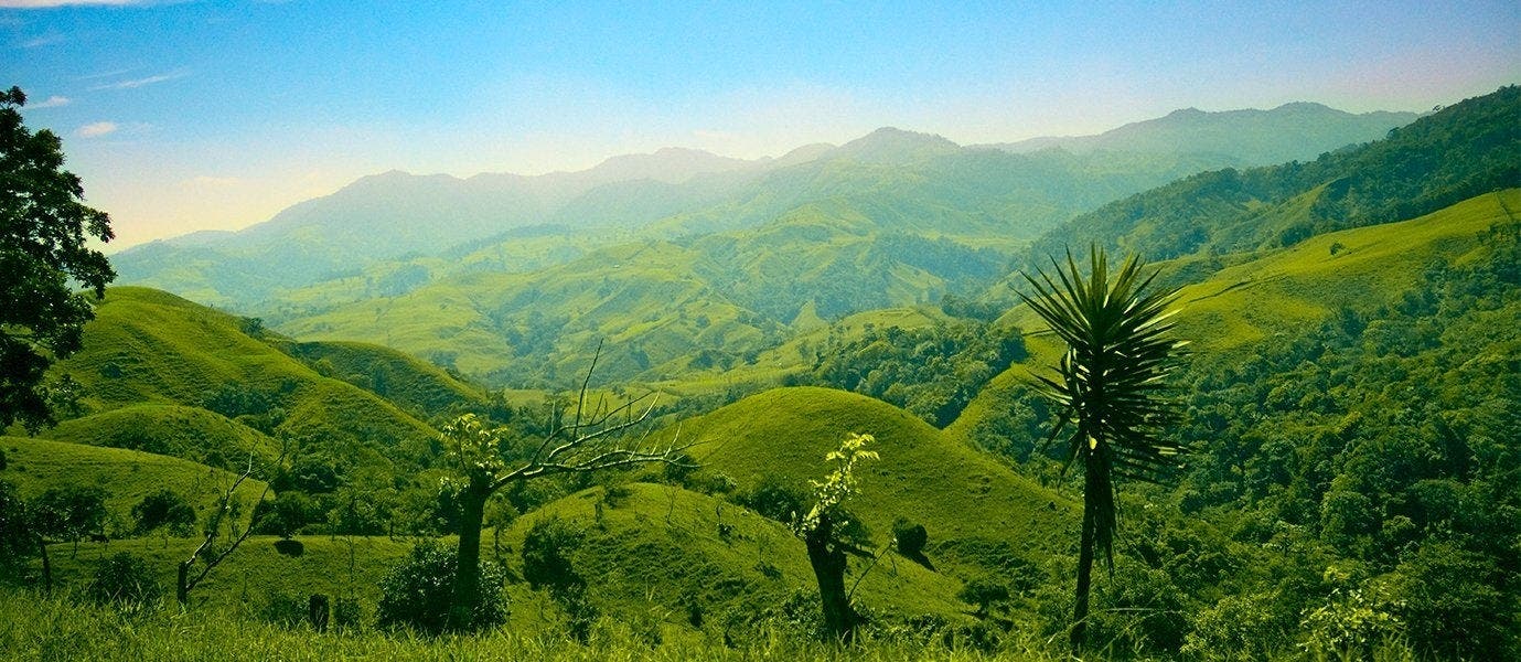 Forêts tropicales et détente à Tamarindo