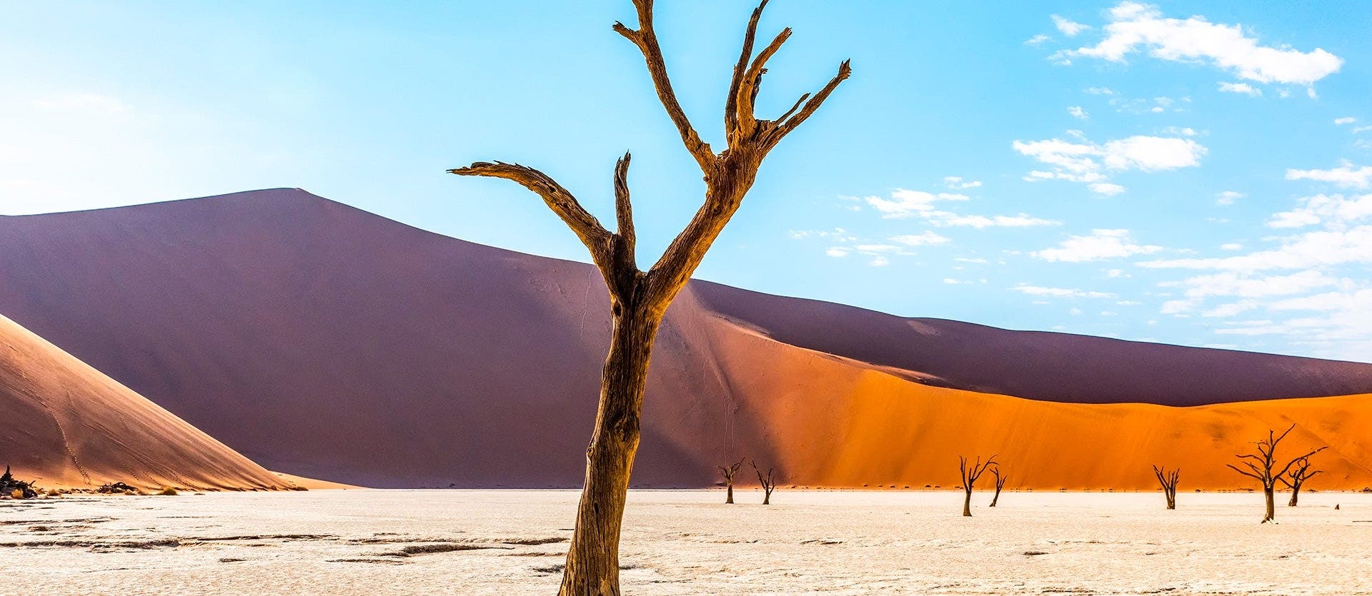 Safari, Sand Dunes & Naukluft Mountains