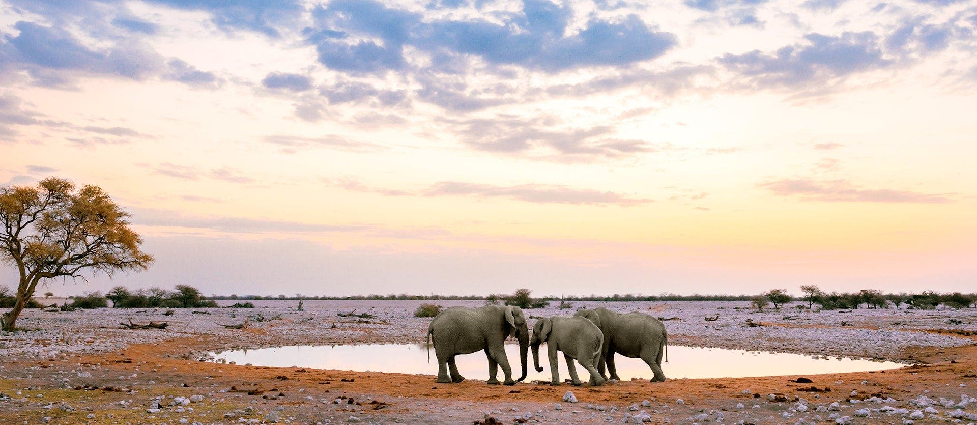 Safaris, dunas y montañas Naukluft