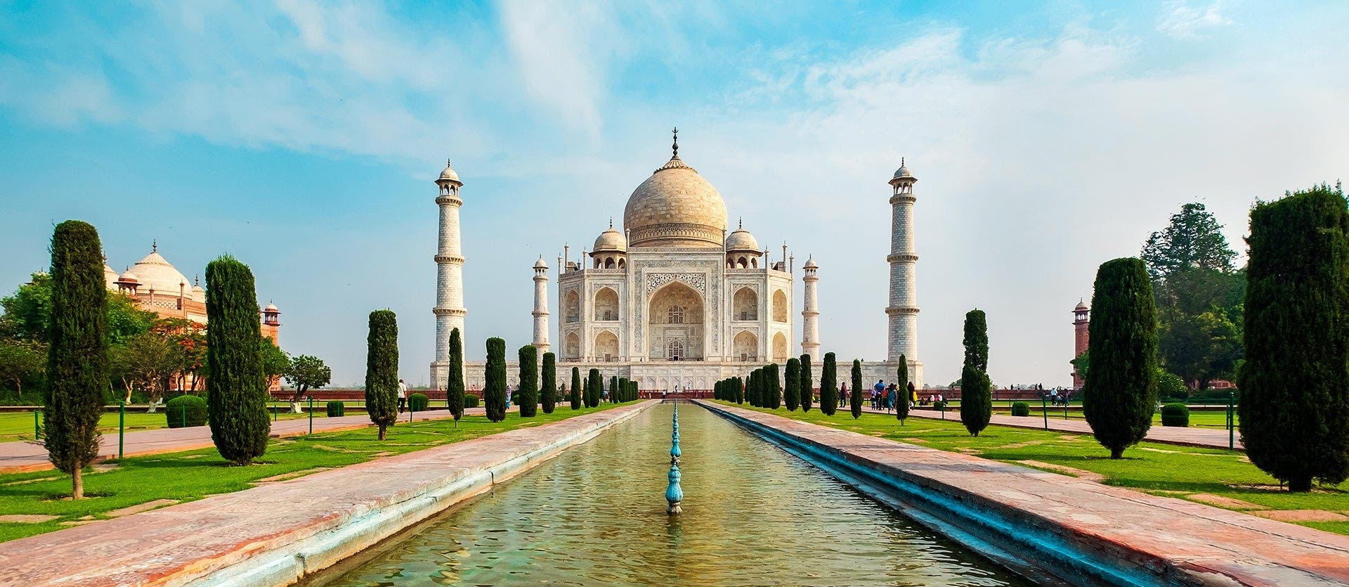 Amazing Tiger Safari & Classic Taj Mahal