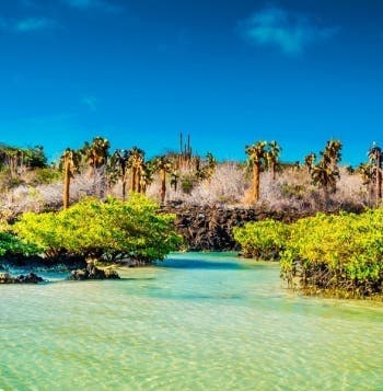 Découverte tropicale aux îles Galápagos