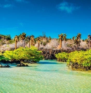 Découverte tropicale aux îles Galápagos