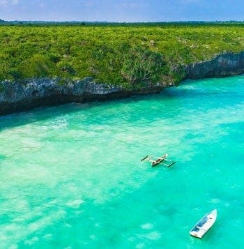Wildlife Safari & All-Inclusive Zanzibar