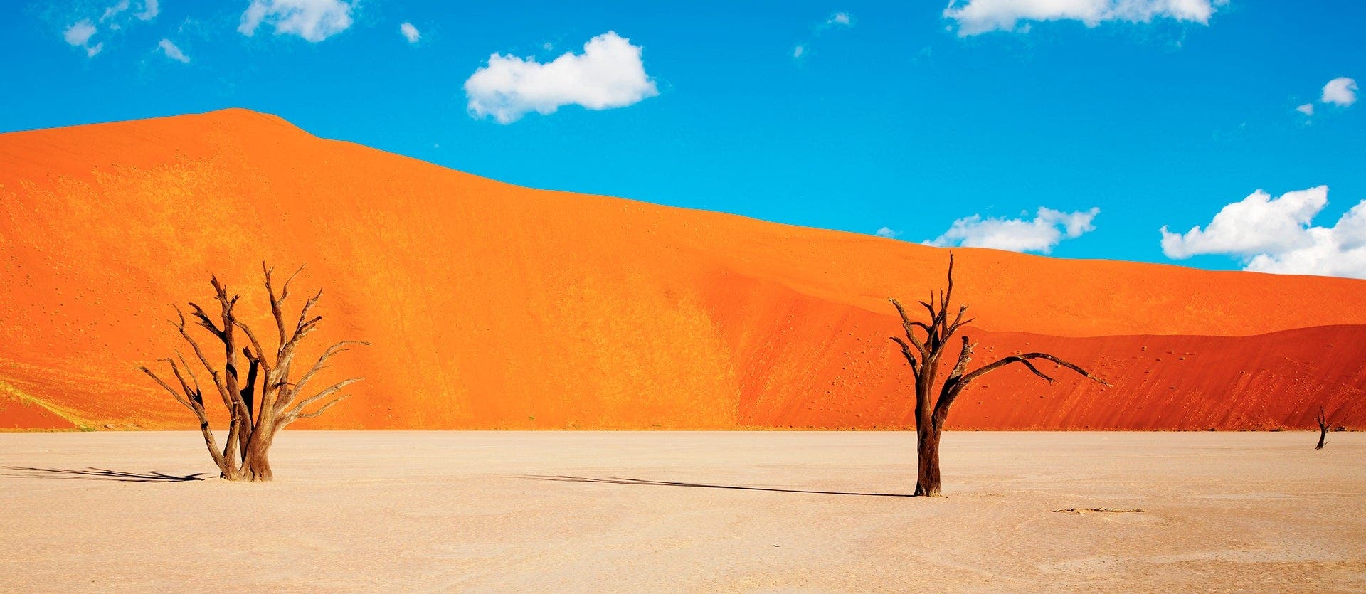 Safari, Sand Dunes & Victoria Falls