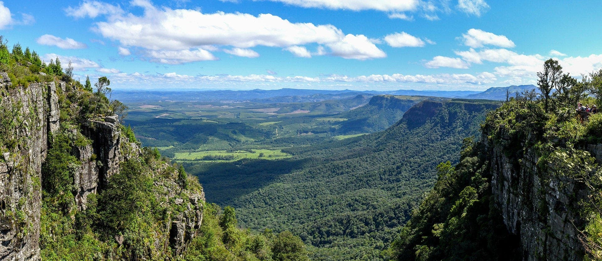 Kruger, Cape & Garden Route