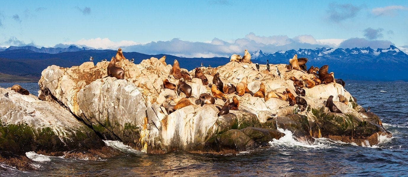 Ultimate Buenos Aires, Patagonia & Iguazu