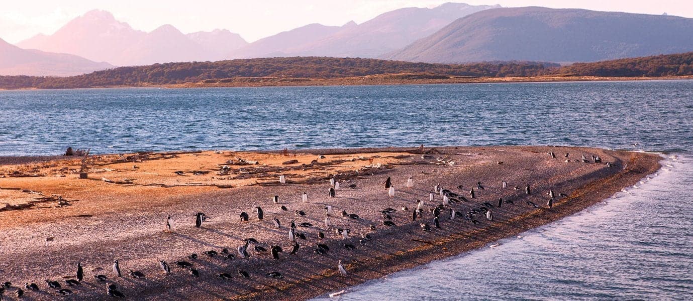 Beagle Channel <span class="iconos separador"></span> Tierra del Fuego <span class="iconos separador"></span> Ushuaia 