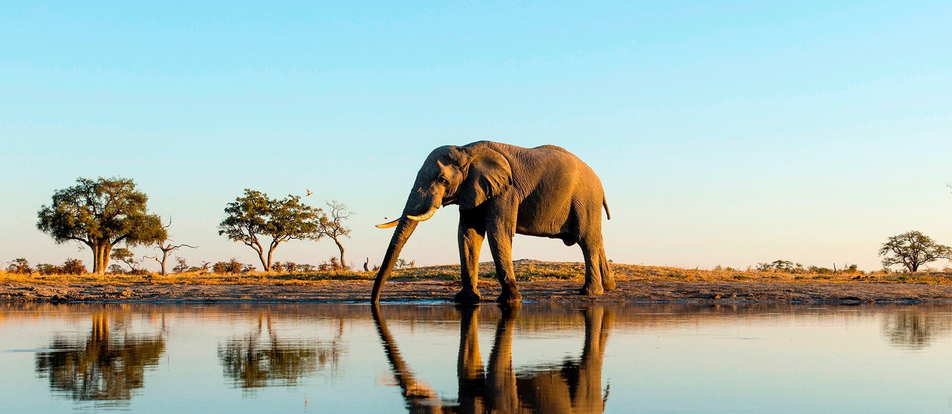 Waterfalls, Wild Chobe & Okavango Safari 