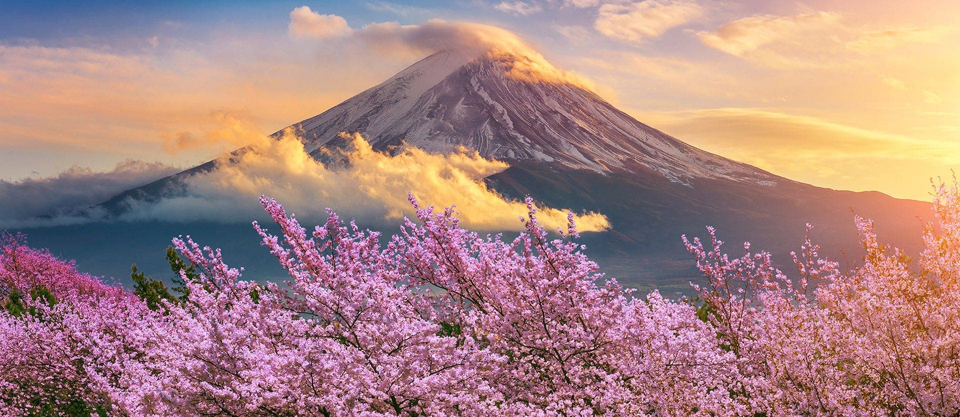 A Voyage through Asian Lands 