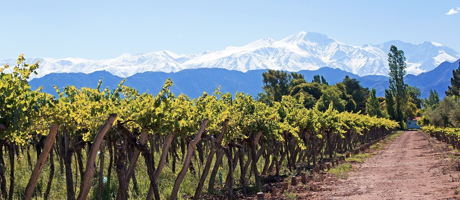 Andean landscapes, cities, and vineyards