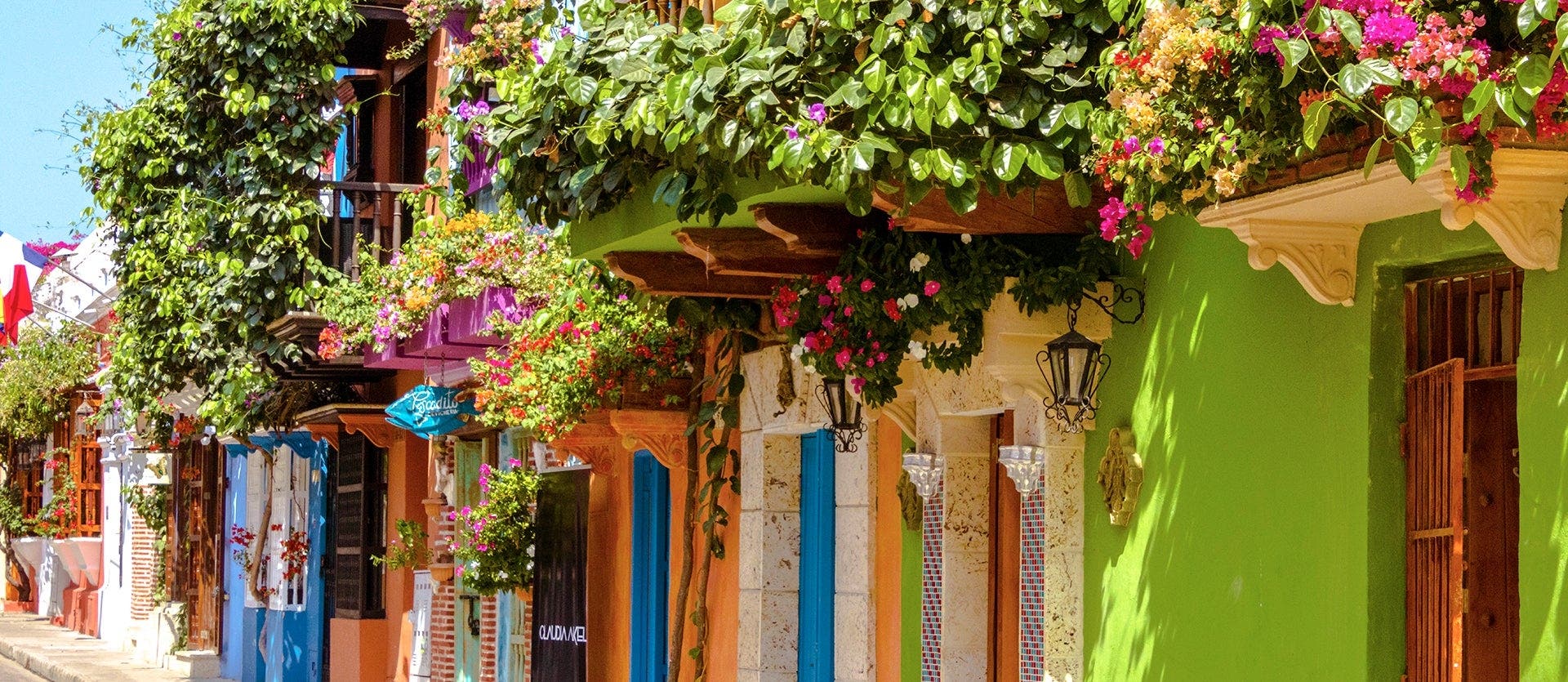 Andean Mountains, the Amazon & Cartagena