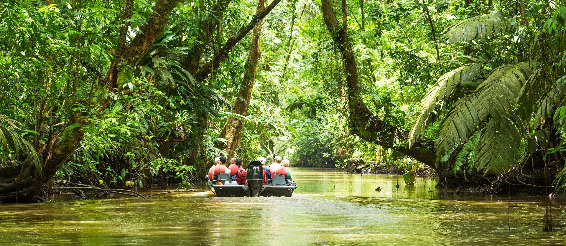 Family: Tortuguero, Arenal & beach relax